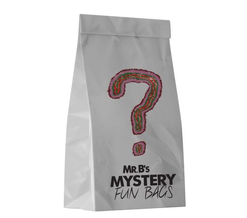 MYSTERY FUN BAGS